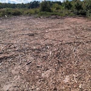 Photo #18 of SOLD property in Off Warrenton-Embro Road, Warrenton, NC 38.0 acres