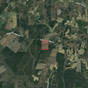 Photo #19 of SOLD property in Off Warrenton-Embro Road, Warrenton, NC 38.0 acres