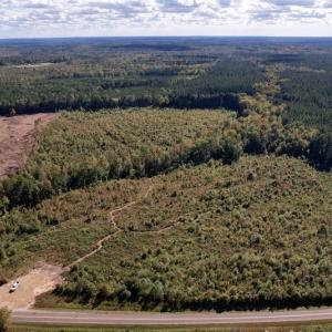 Photo #3 of SOLD property in Off Warrenton-Embro Road, Warrenton, NC 38.0 acres