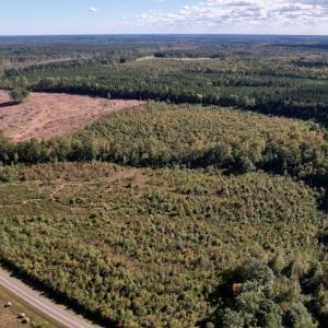 Photo #4 of SOLD property in Off Warrenton-Embro Road, Warrenton, NC 38.0 acres