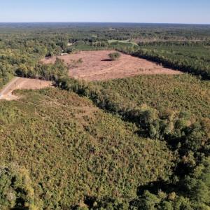 Photo #5 of SOLD property in Off Warrenton-Embro Road, Warrenton, NC 38.0 acres