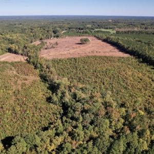 Photo #6 of SOLD property in Off Warrenton-Embro Road, Warrenton, NC 38.0 acres