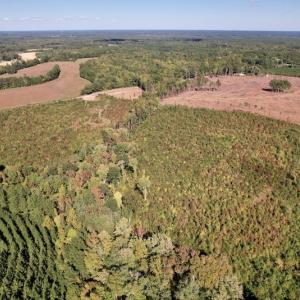 Photo #7 of SOLD property in Off Warrenton-Embro Road, Warrenton, NC 38.0 acres