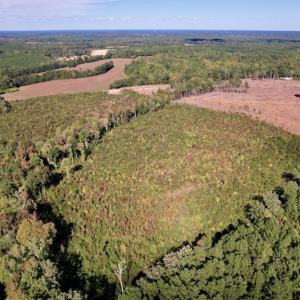 Photo #8 of SOLD property in Off Warrenton-Embro Road, Warrenton, NC 38.0 acres