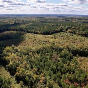 Photo #9 of SOLD property in Off Rowe Road, Warrenton, NC 15.0 acres