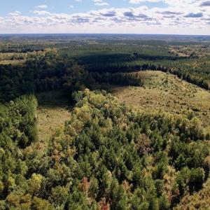 Photo #10 of SOLD property in Off Rowe Road, Warrenton, NC 15.0 acres