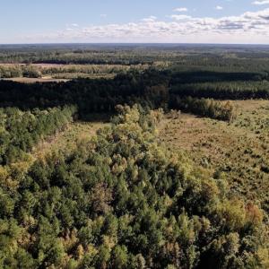 Photo #11 of SOLD property in Off Rowe Road, Warrenton, NC 15.0 acres