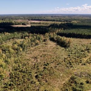 Photo #12 of SOLD property in Off Rowe Road, Warrenton, NC 15.0 acres