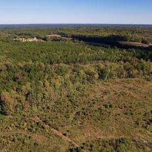 Photo #13 of SOLD property in Off Rowe Road, Warrenton, NC 15.0 acres