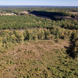 Photo #14 of SOLD property in Off Rowe Road, Warrenton, NC 15.0 acres