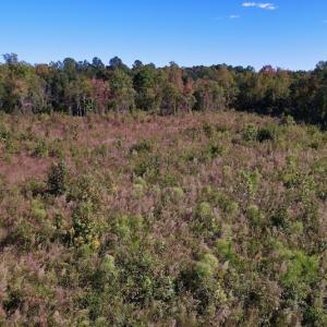 Photo #15 of SOLD property in Off Rowe Road, Warrenton, NC 15.0 acres
