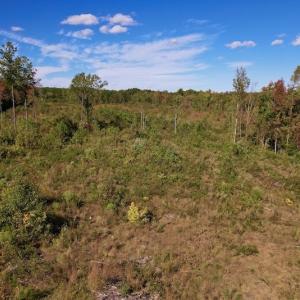 Photo #18 of SOLD property in Off Rowe Road, Warrenton, NC 15.0 acres