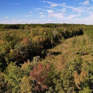Photo #20 of SOLD property in Off Rowe Road, Warrenton, NC 15.0 acres