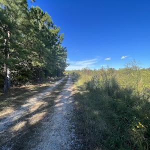Photo #21 of SOLD property in Off Rowe Road, Warrenton, NC 15.0 acres