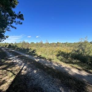 Photo #22 of SOLD property in Off Rowe Road, Warrenton, NC 15.0 acres