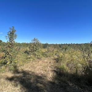Photo #24 of SOLD property in Off Rowe Road, Warrenton, NC 15.0 acres