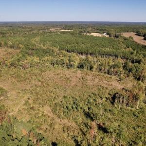 Photo #2 of SOLD property in Off Rowe Road, Warrenton, NC 15.0 acres