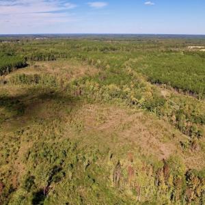 Photo #3 of SOLD property in Off Rowe Road, Warrenton, NC 15.0 acres