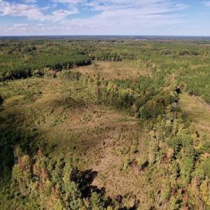 Photo #4 of SOLD property in Off Rowe Road, Warrenton, NC 15.0 acres