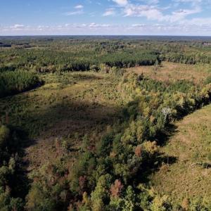 Photo #5 of SOLD property in Off Rowe Road, Warrenton, NC 15.0 acres