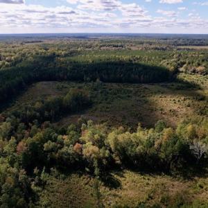 Photo #6 of SOLD property in Off Rowe Road, Warrenton, NC 15.0 acres