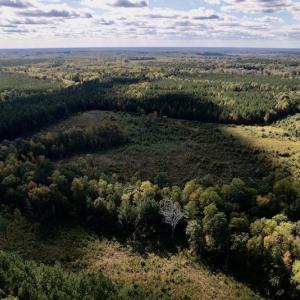Photo #7 of SOLD property in Off Rowe Road, Warrenton, NC 15.0 acres