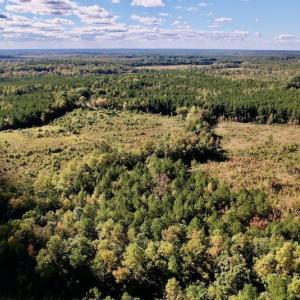 Photo #8 of SOLD property in Off Rowe Road, Warrenton, NC 15.0 acres