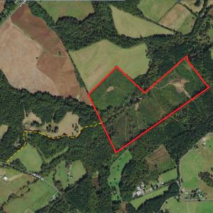 Photo #54 of SOLD property in Off Shared Lane, Bedford, VA 79.0 acres