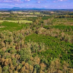 Photo #2 of SOLD property in Off Shared Lane, Bedford, VA 79.0 acres