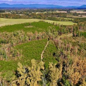 Photo #3 of SOLD property in Off Shared Lane, Bedford, VA 79.0 acres