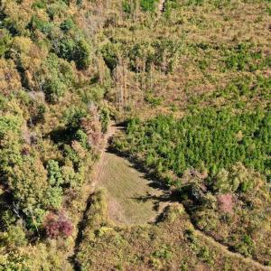 Photo #4 of SOLD property in Off Shared Lane, Bedford, VA 79.0 acres