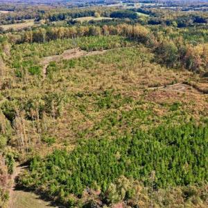 Photo #5 of SOLD property in Off Shared Lane, Bedford, VA 79.0 acres