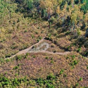 Photo #6 of SOLD property in Off Shared Lane, Bedford, VA 79.0 acres