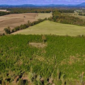 Photo #7 of SOLD property in Off Shared Lane, Bedford, VA 79.0 acres
