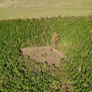 Photo #8 of SOLD property in Off Shared Lane, Bedford, VA 79.0 acres