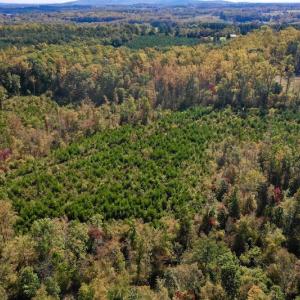 Photo #9 of SOLD property in Off Shared Lane, Bedford, VA 79.0 acres