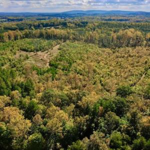 Photo #10 of SOLD property in Off Shared Lane, Bedford, VA 79.0 acres