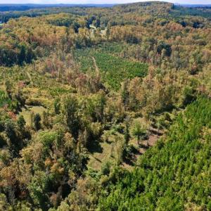 Photo #12 of SOLD property in Off Shared Lane, Bedford, VA 79.0 acres