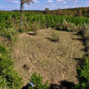 Photo #13 of SOLD property in Off Shared Lane, Bedford, VA 79.0 acres