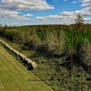 Photo #14 of SOLD property in Off Shared Lane, Bedford, VA 79.0 acres