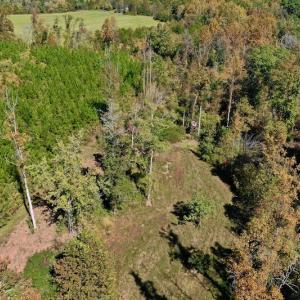 Photo #15 of SOLD property in Off Shared Lane, Bedford, VA 79.0 acres