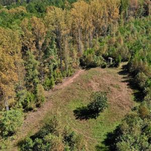 Photo #16 of SOLD property in Off Shared Lane, Bedford, VA 79.0 acres