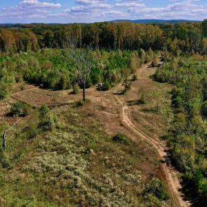 Photo #17 of SOLD property in Off Shared Lane, Bedford, VA 79.0 acres