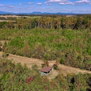 Photo #18 of SOLD property in Off Shared Lane, Bedford, VA 79.0 acres