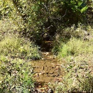 Photo #21 of SOLD property in Off Shared Lane, Bedford, VA 79.0 acres