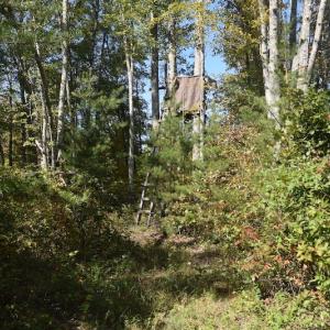 Photo #22 of SOLD property in Off Shared Lane, Bedford, VA 79.0 acres