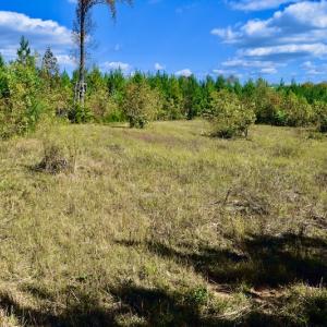 Photo #28 of SOLD property in Off Shared Lane, Bedford, VA 79.0 acres