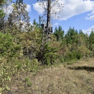 Photo #30 of SOLD property in Off Shared Lane, Bedford, VA 79.0 acres