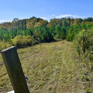 Photo #31 of SOLD property in Off Shared Lane, Bedford, VA 79.0 acres
