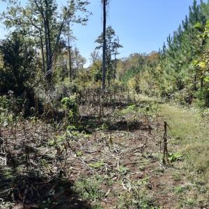 Photo #32 of SOLD property in Off Shared Lane, Bedford, VA 79.0 acres